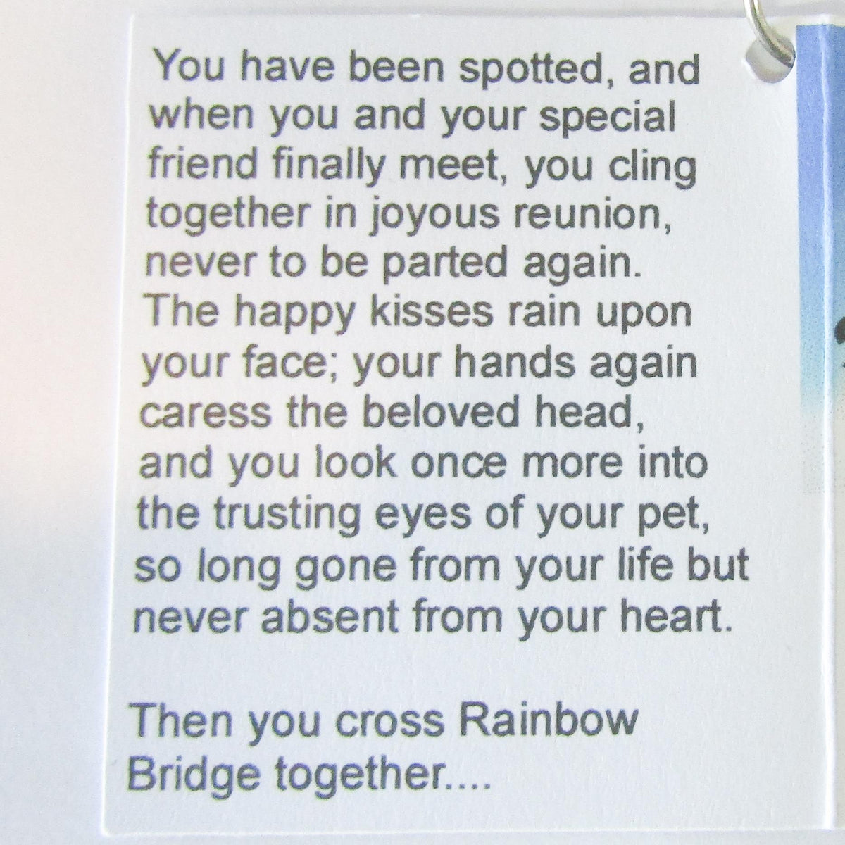 Rainbow Bridge Crystal Suncatcher – Pet Memorial Rainbow Maker