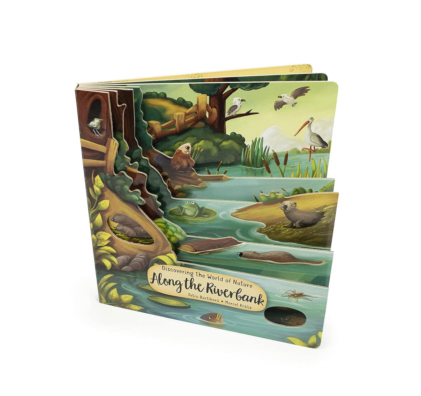 Nature Along the Riverbank – Interactive Board Book