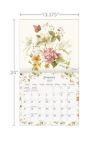 Lang Calendar 2027 "Watercolor Seasons"
