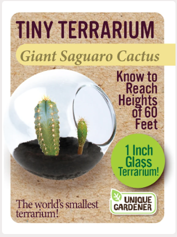Grow Your Own Giant Saguaro – Tiny Glass Terrarium