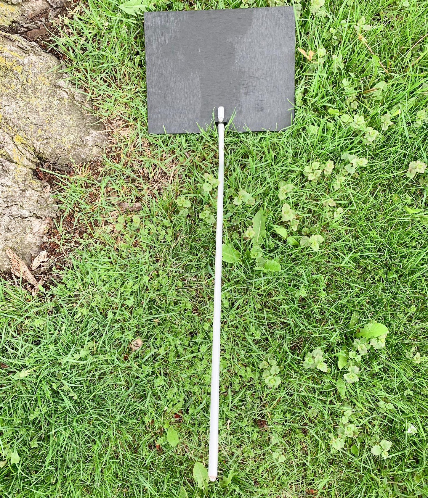 Tree Plaque - Aluminium Frame 8"x10"