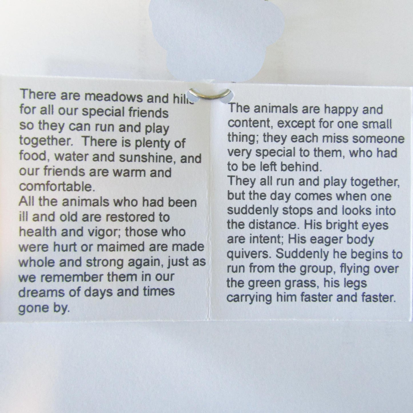 Rainbow Bridge Sun Catcher