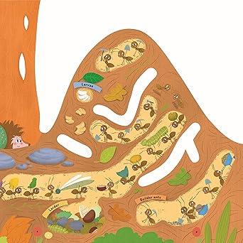 Anthill – Interactive Board Book with Cutouts & Shapes