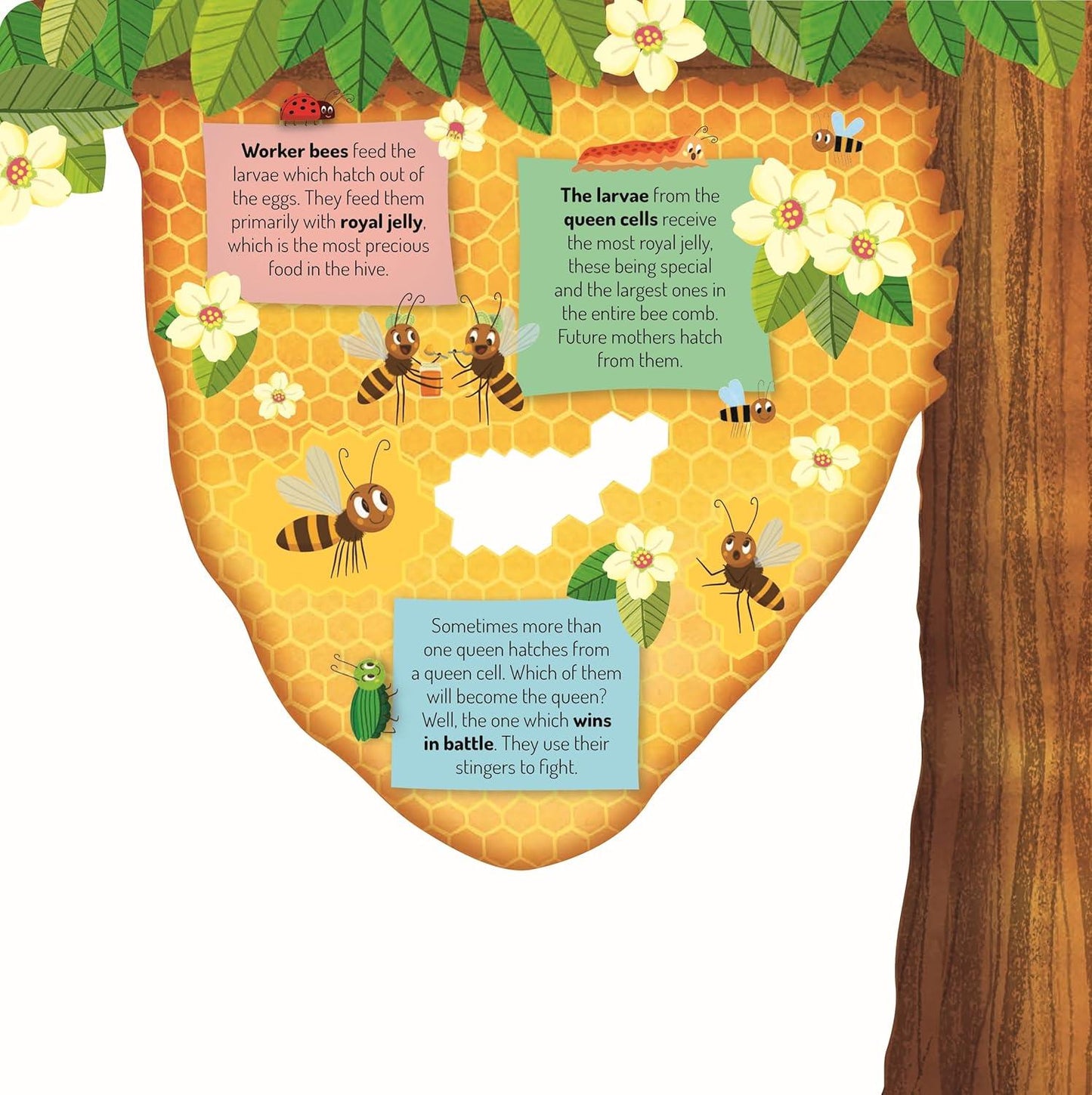 Beehive – Interactive Board Book with Cutouts & Shapes
