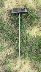 Tree Plaque - Alumimum frame