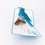 Pop Up Blue Jay Card