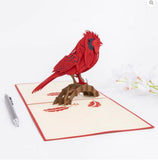 Pop Up Cardinal Card