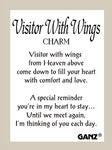 Visitor Wtih Wings Pocket Coin