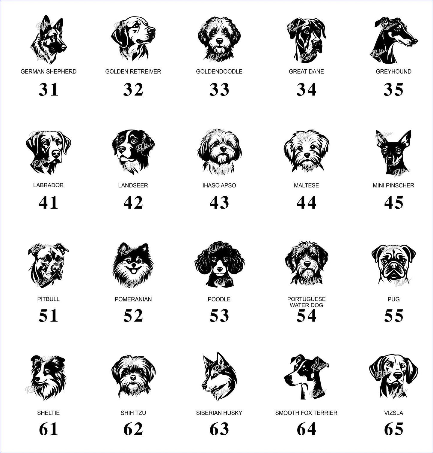 Dog – Image Library (Not a Product)