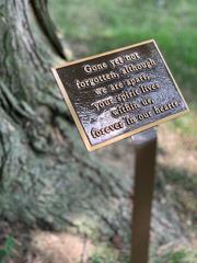 Tree Plaque - Cast Bronze