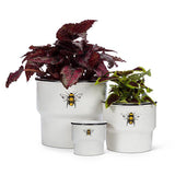 Medium Rimmed Bee Planter