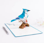 Pop Up Blue Jay Card