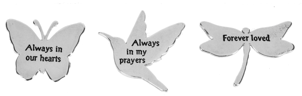 Visitor Wtih Wings Pocket Coin