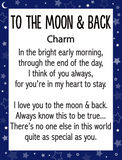 Love You To The Moon Pocket Coin