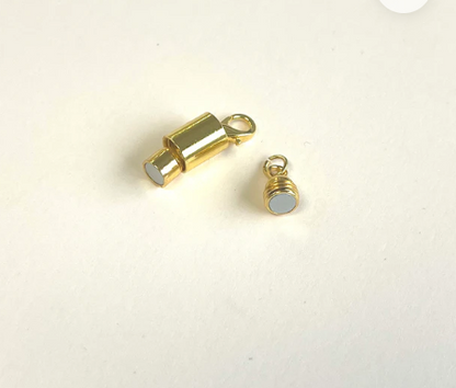 Magnet with screw clasp