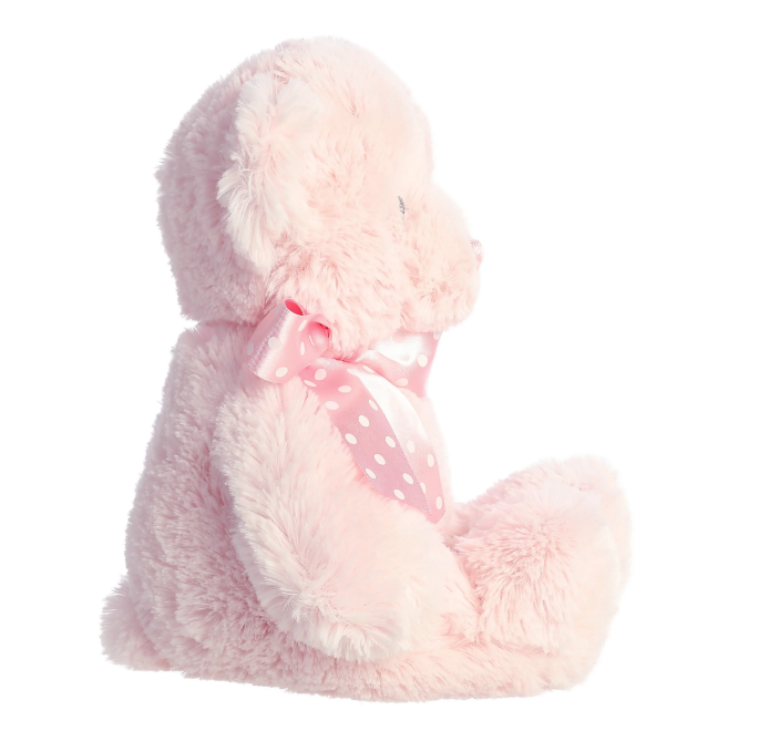 Plush Pink Teddy