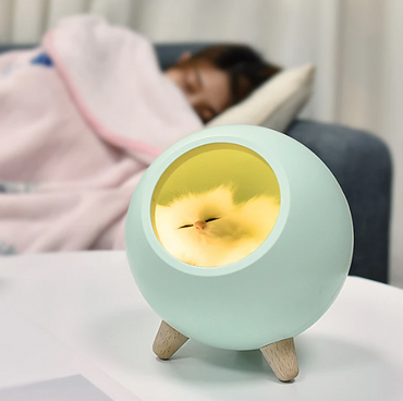 Atmosphere Light with Grey Cat