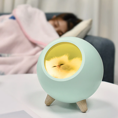 Atmosphere Light with Grey Cat