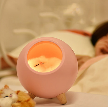 Atmosphere Light with White Cat