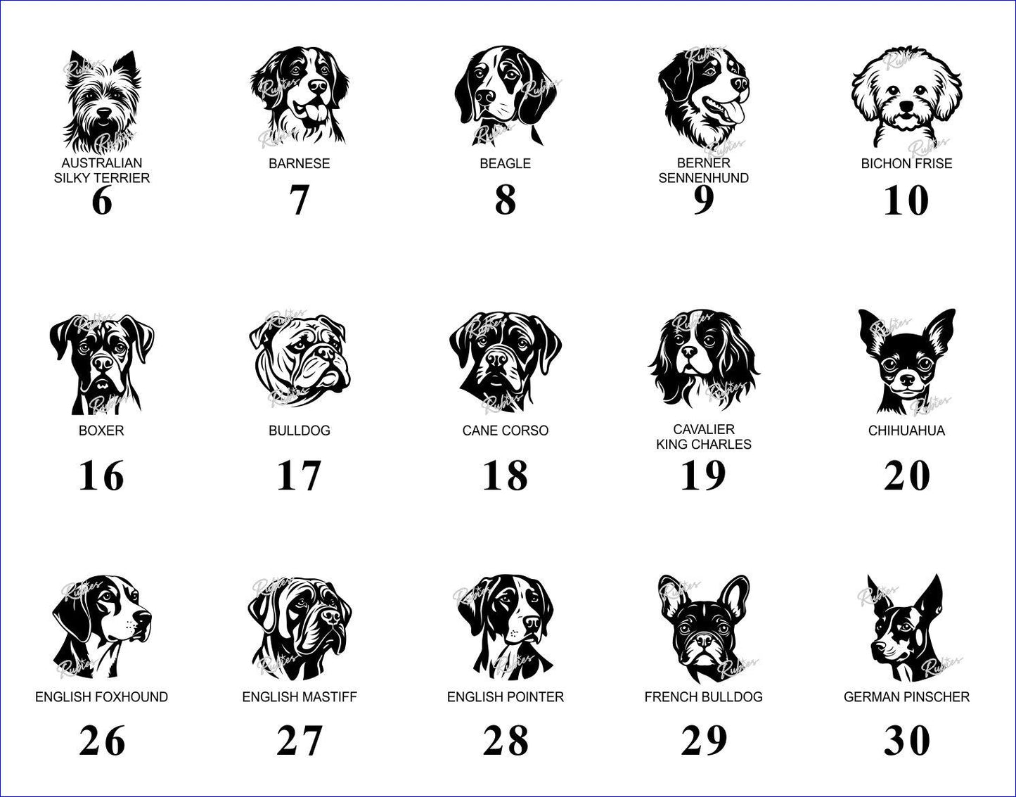 Dog – Image Library (Not a Product)