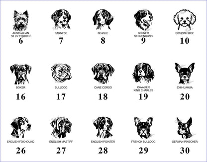 Dog – Image Library (Not a Product)