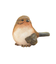 Small Decorative Birds – Assorted Colours & Poses