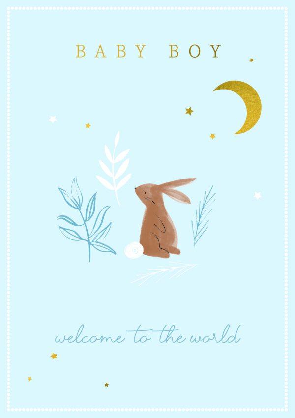 Welcome Baby Boy Card