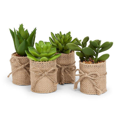 Succulents In Burlap  - Assorted