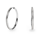 Stainless Hoop Earrings