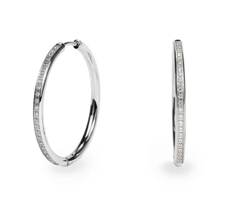 Stainless Hoop Earrings