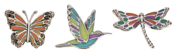 Visitor Wtih Wings Pocket Coin