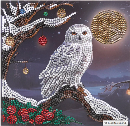 Card Kit "Frosted Moon" Owl