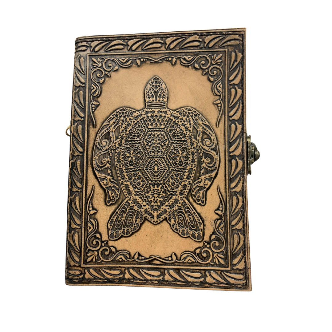 Journal - Turtle