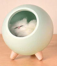 Atmosphere Light with Grey Cat