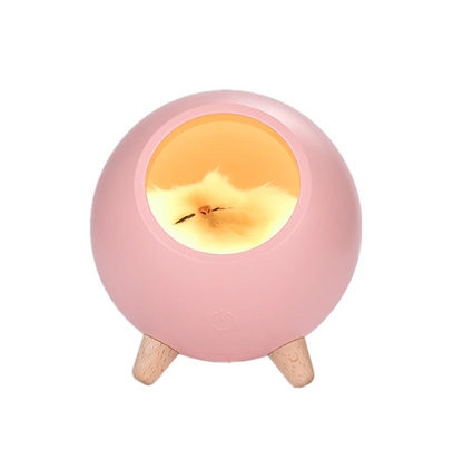 Atmosphere Light with White Cat