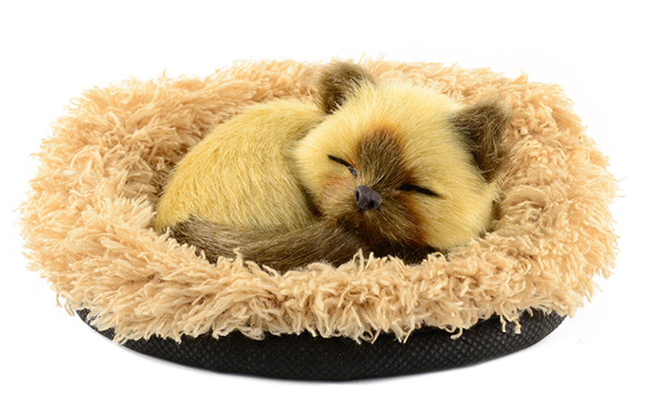 Faux Fur Siamese Sleeping Kitten – Meowing