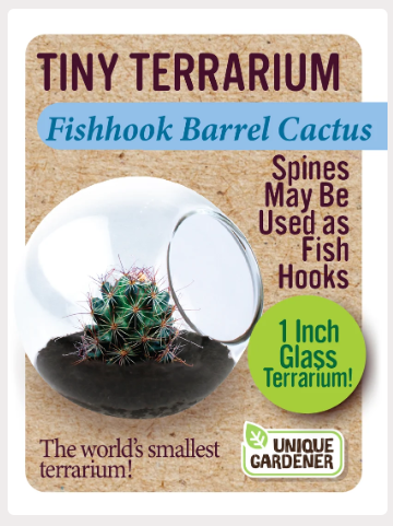 Grow Your Own Fishhook Barrel Cactus – Tiny Glass Terrarium